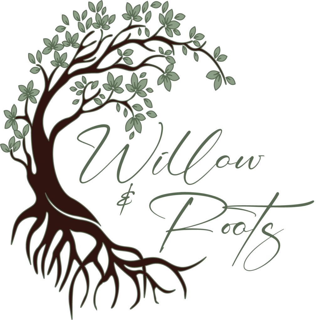 Portrait Photographers- Willow & Roots Studios - Photography