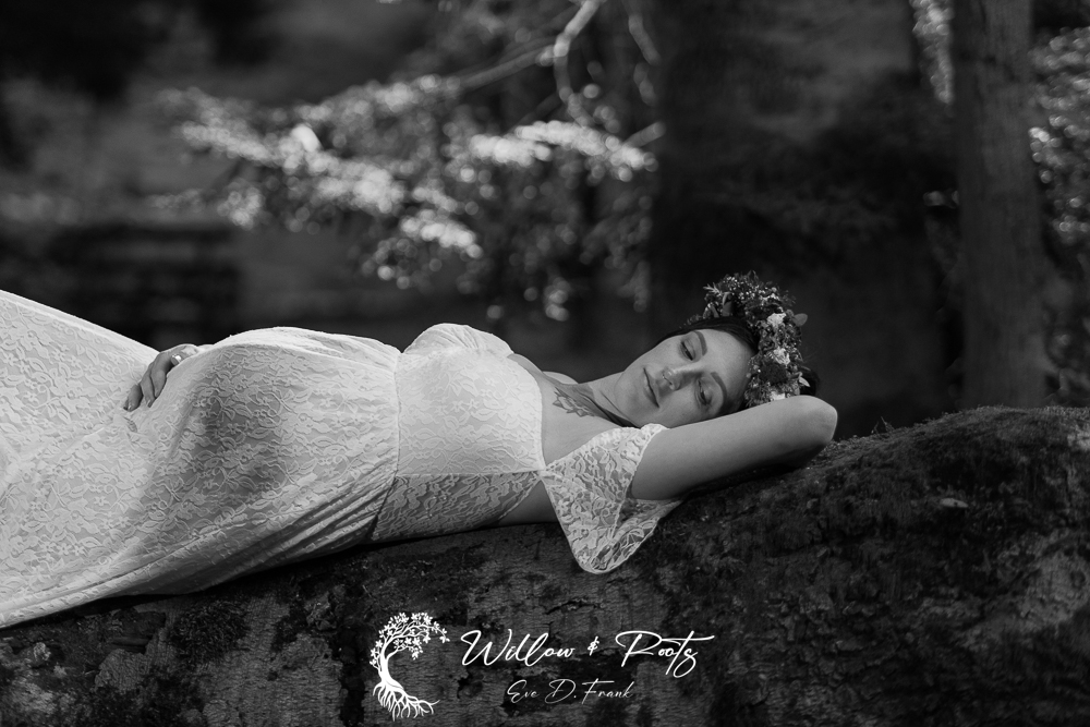 Professional Photography - Photographer Near Me - Best Photographer In Erie Pa