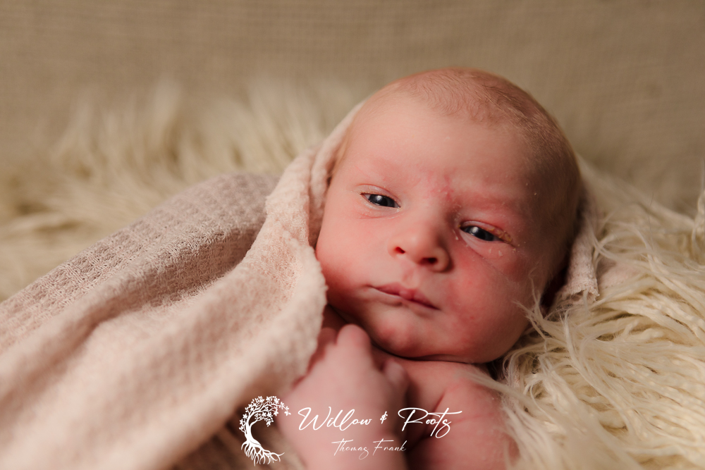 Winter Newborn Photos - newborn baby boy photos - newborn photographer Erie Pa