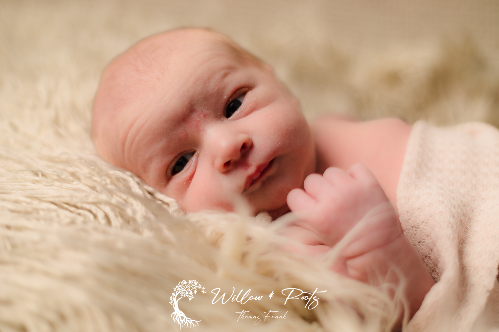 Newborn Photography Session - Newborn Photographer Erie Pa - Newborn Pictures