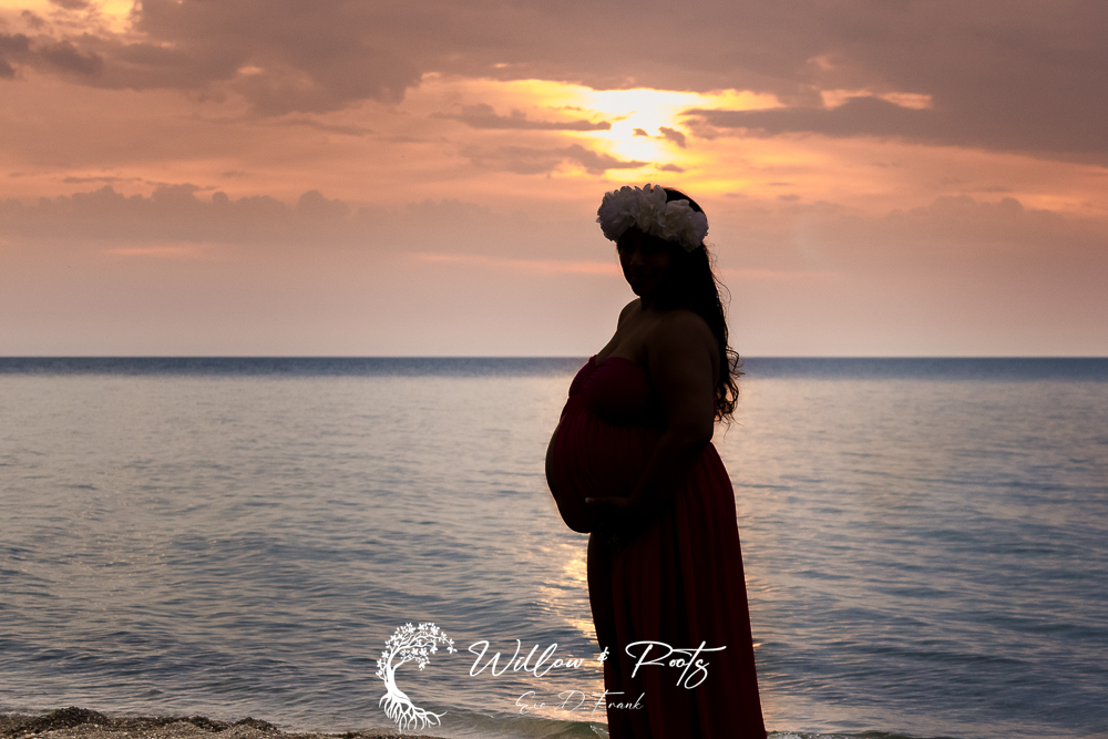 Maternity Pictures - Maternity Portrait Photographers In Erie Pa - Photographer Near Me - Maternity Photography Erie Pa