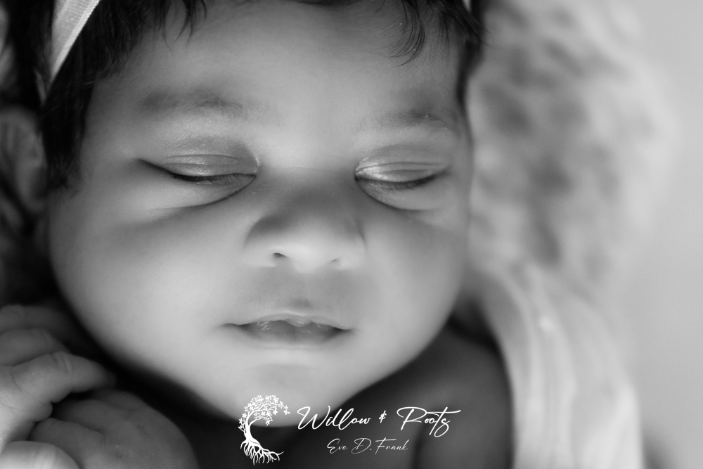 Newborn Photos - Newborn Photography Studio - Newborn Photos Erie Pa - Newborn Photographer Near Me