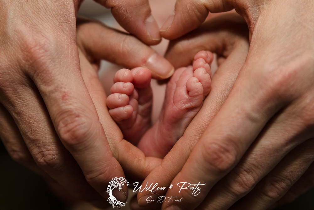 Newborn Photography Session - Newborn Photographer Erie Pa - Newborn Pictures