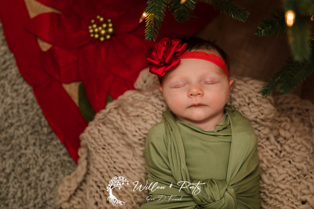 Christmas Newborn Photos - Newborn PHotographer near me - Newborn Photography Erie Pa