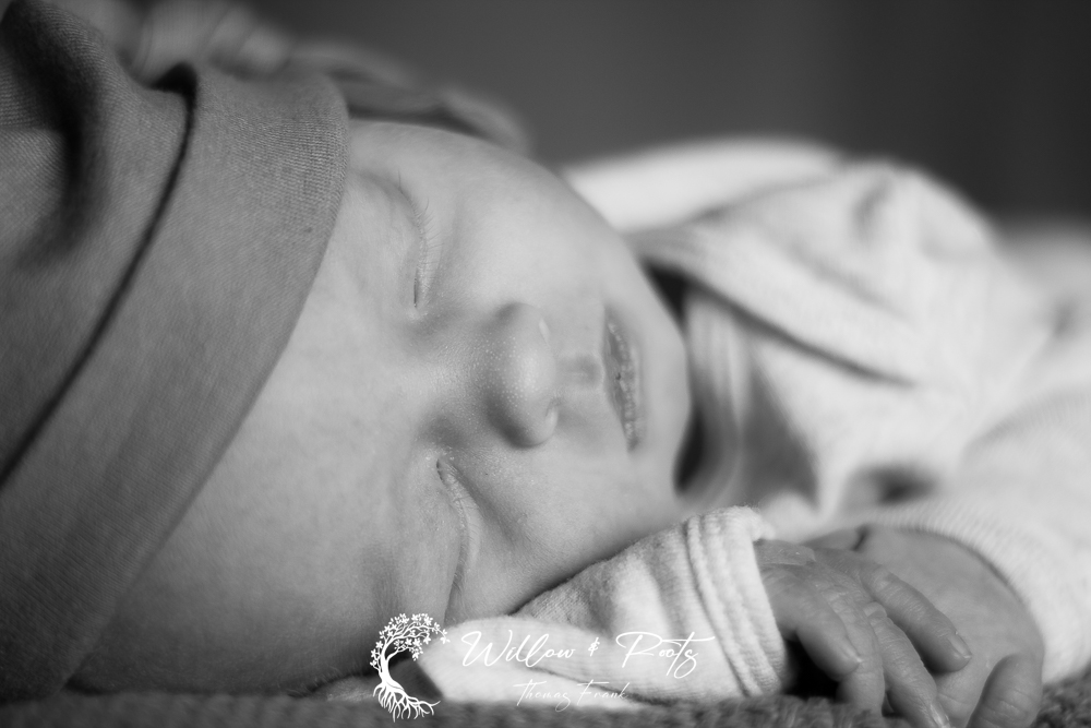 Newborn Photography Session - Newborn Photographer Erie Pa - Newborn Pictures