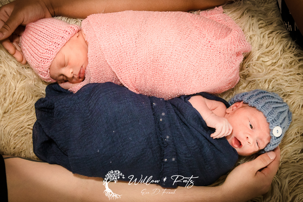 twin newborn session - newborn photographer near me - newborn portraits in Erie Pa