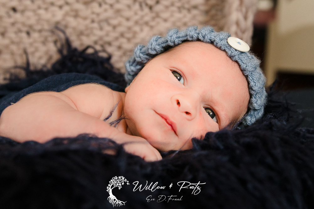 Newborn Photos - Newborn Photography Studio - Newborn Photos Erie Pa - Newborn Photographer Near Me