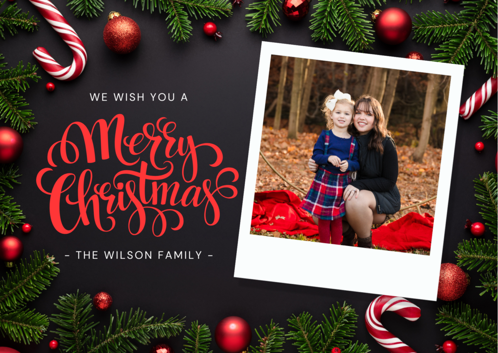 Portrait Photographers In St. Augustine - Willow &Amp; Roots Studios - Photography