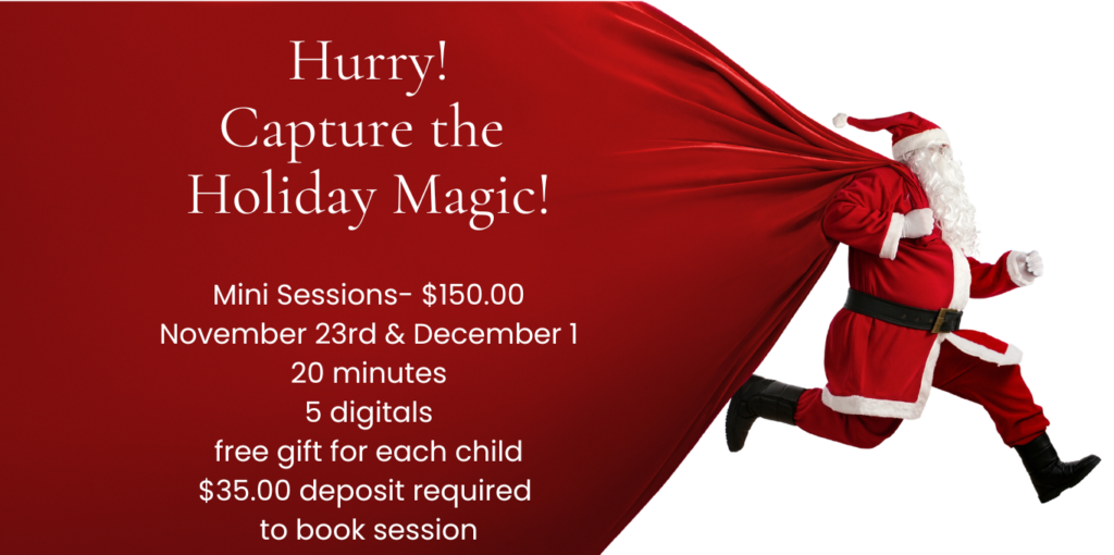 Portrait Photographers In St. Augustine - Willow &Amp; Roots Studios - Photography