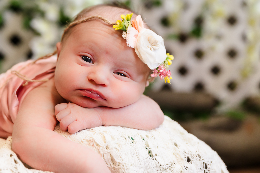 Portrait Photographers In Erie Pa - Willow &Amp; Roots Studios - Photography