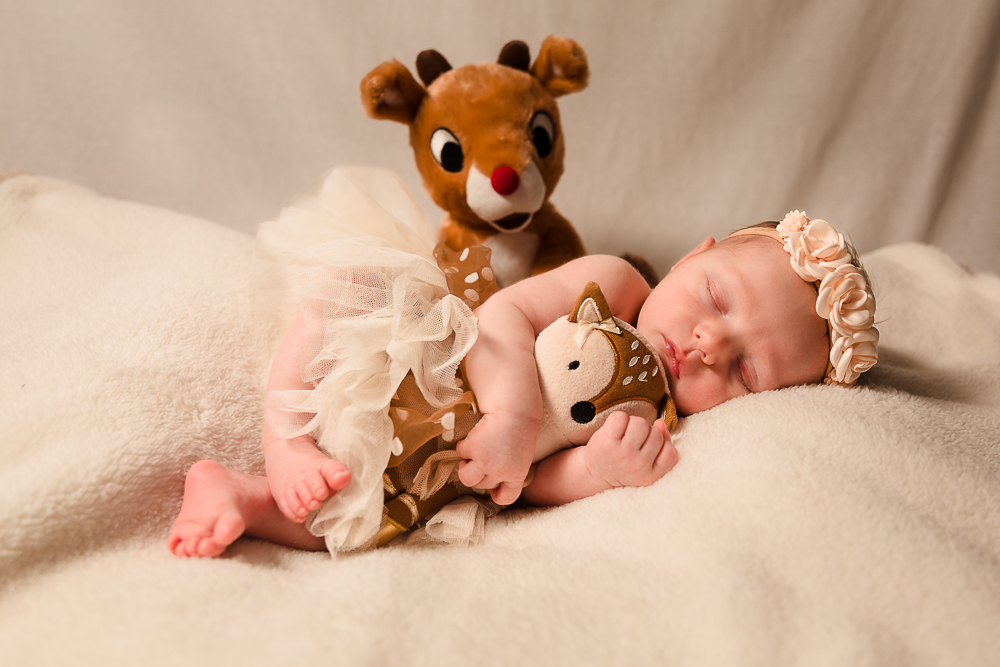 Portrait Photographers Near Me - Portrait Photographers In Saint Augustine - Family Pictures In Saint Augustine